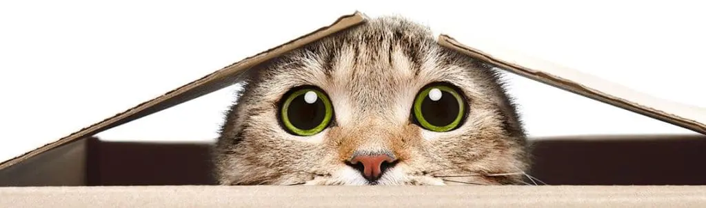 AI Monthly Digest #13 &ndash; an&nbsp;unexpected twist for the stock image market